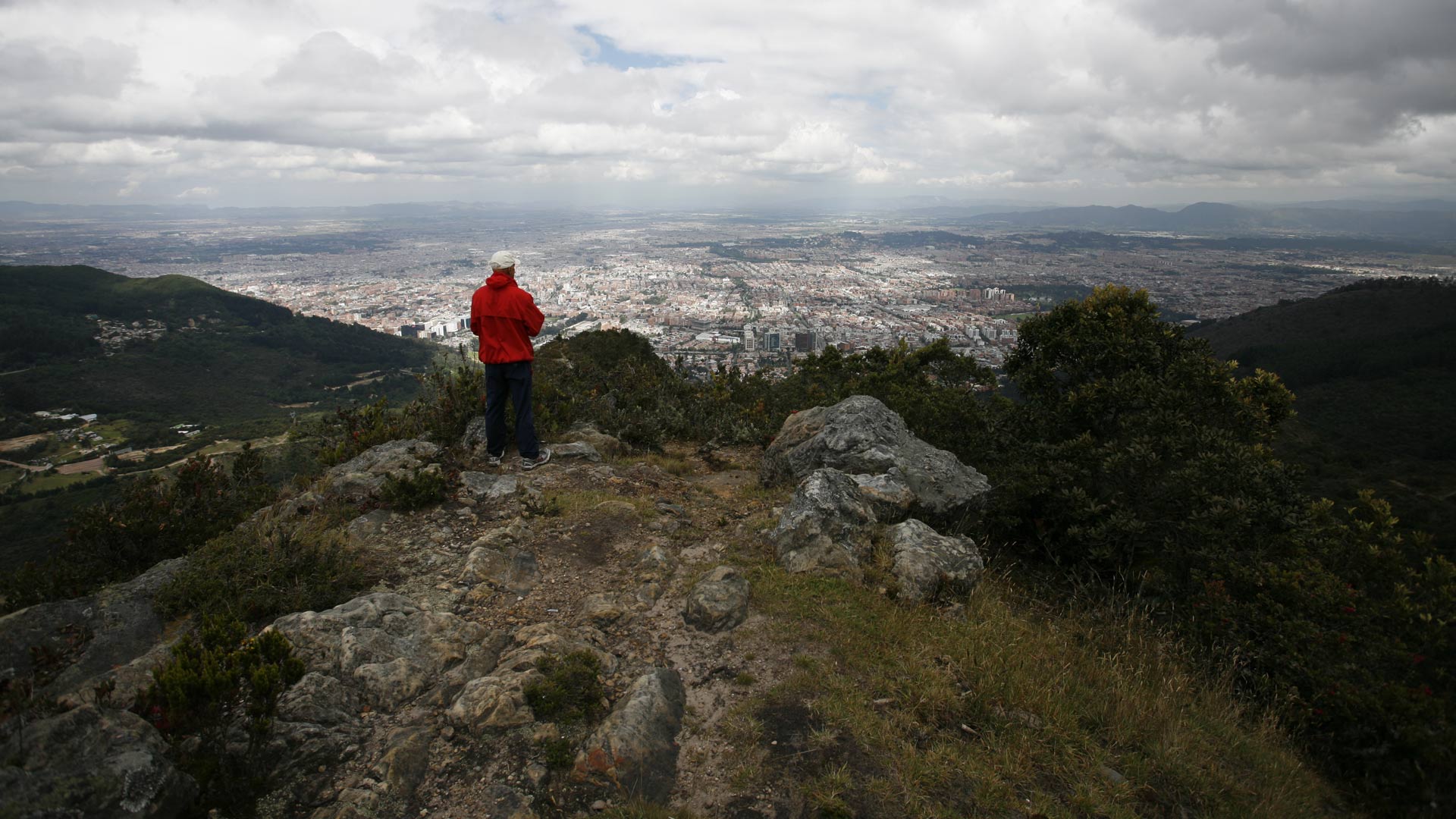 Bogotá contará con siete personas que velarán por los pulmones naturales de la ciudad colombiana
