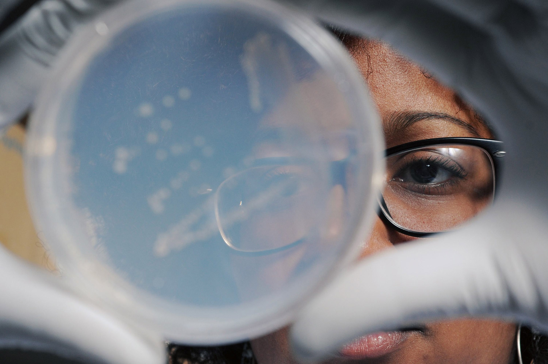 Científicos de Harvard crean superbacteria