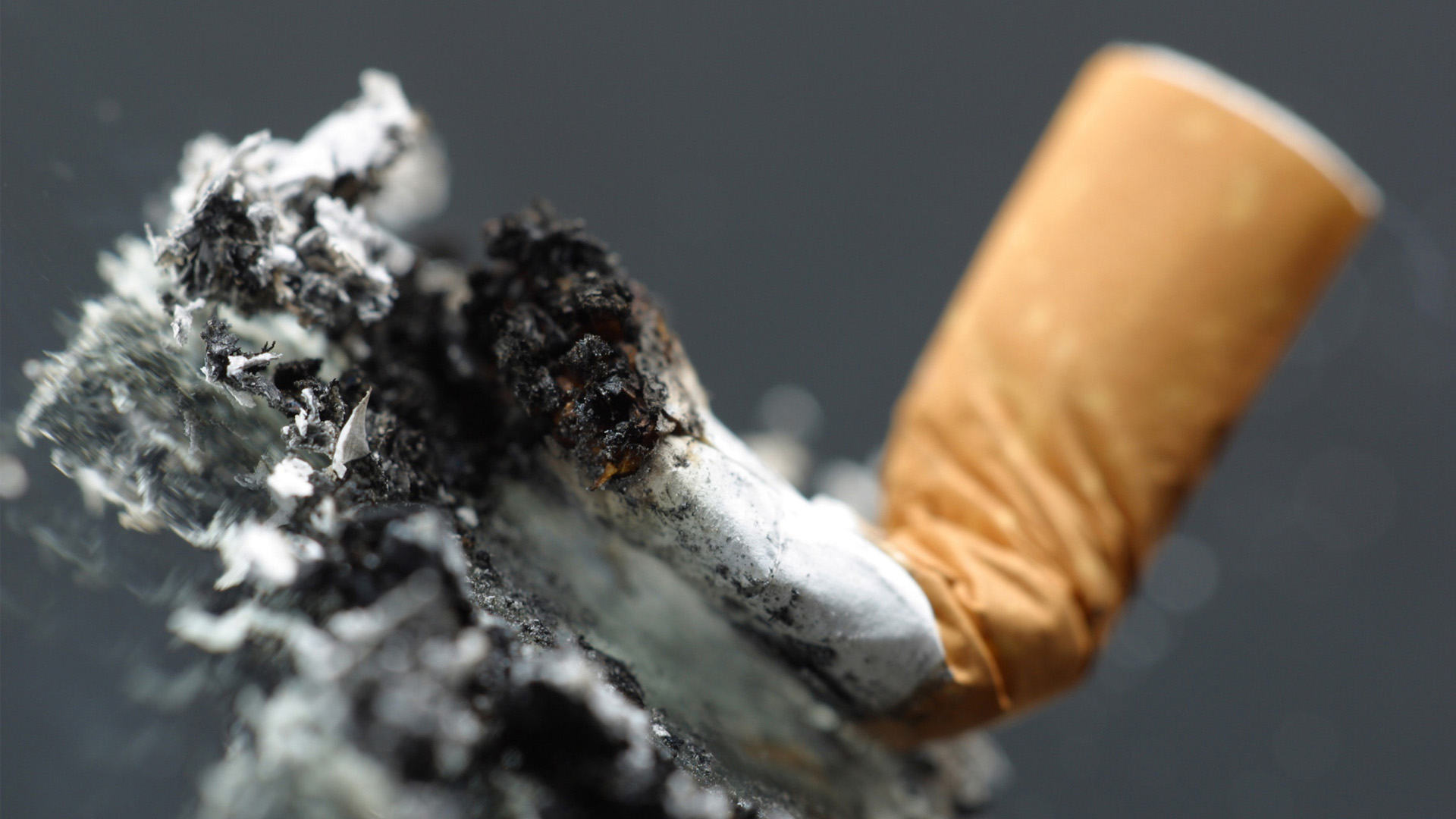 Investigadores descubrieron que el cigarro produce mutaciones en el ADN… y pudieron cuantificarlas