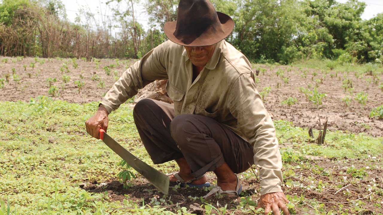 Colombia y la FARC promoverán acceso a las tierras, empleo y vida digna
