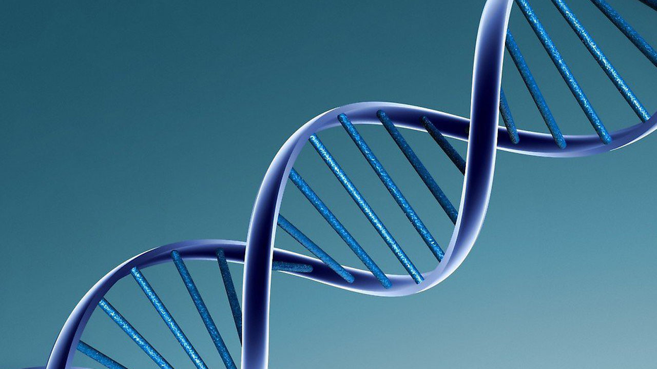 el estudio de los genes ayudará a la enfermedad