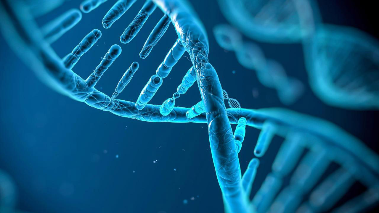 Expertos estadounidenses analizaron los componentes genéticos imprescindibles para que las células cancerígenas no desarrollen resistencia a tratamientos