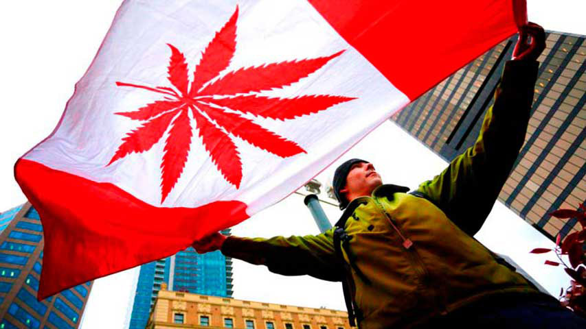 El proyecto de ley que legalizará el consumo recreativo del cannabis sigue su curso en el Parlamento canadiense