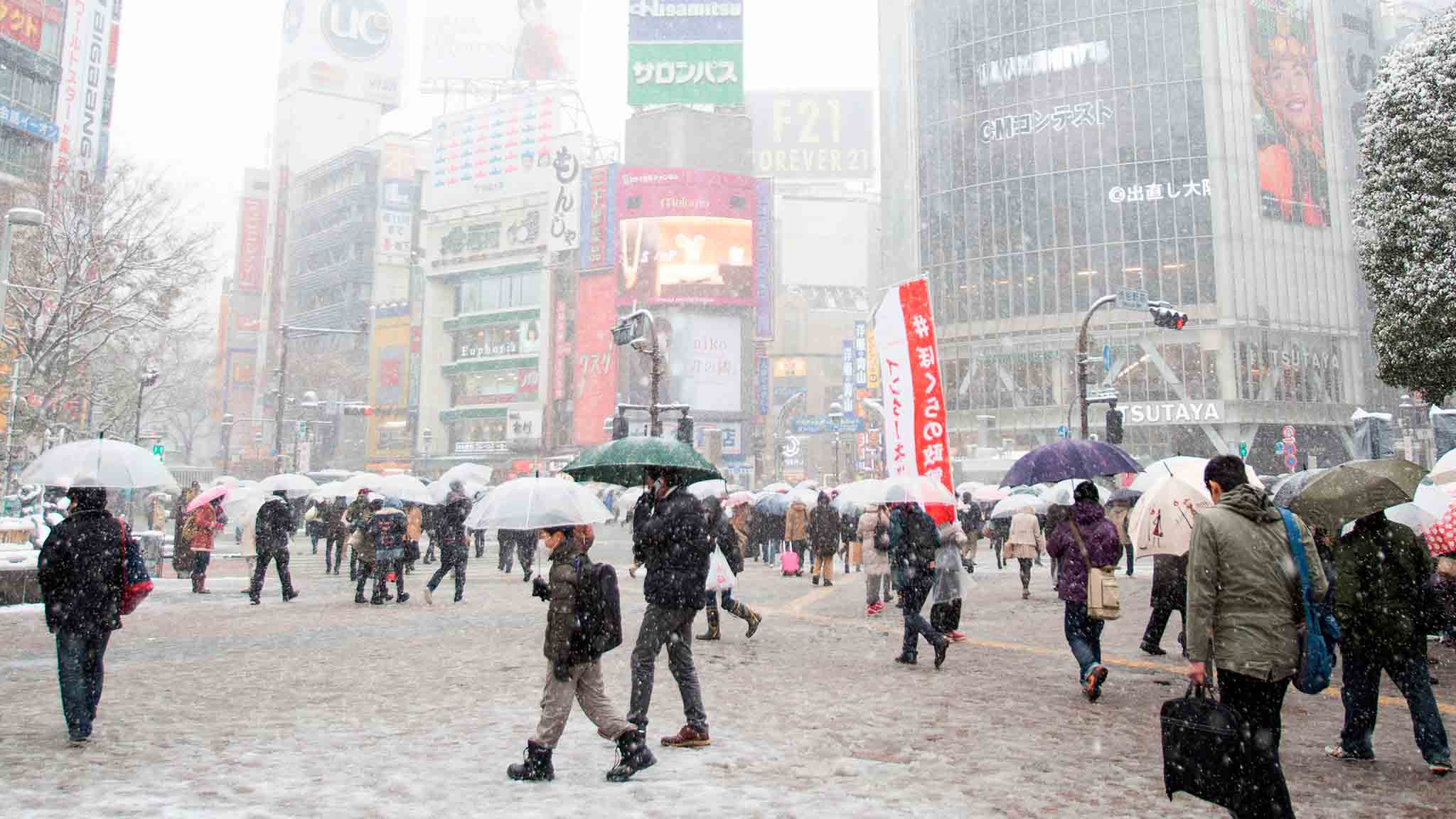 Japón se ve afectado desde el lunes por el peor temporal de nieve que ha azotado el centro del país en los últimos cuatro años