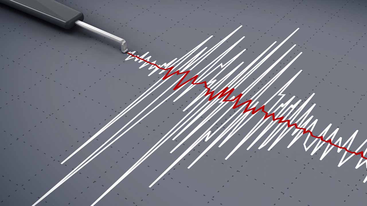 El temblor se dio a la 01:32 am hora lora local a 11 kilómetros al sureste de la región de Bailadores y contó con una profundidad de 5.0 km