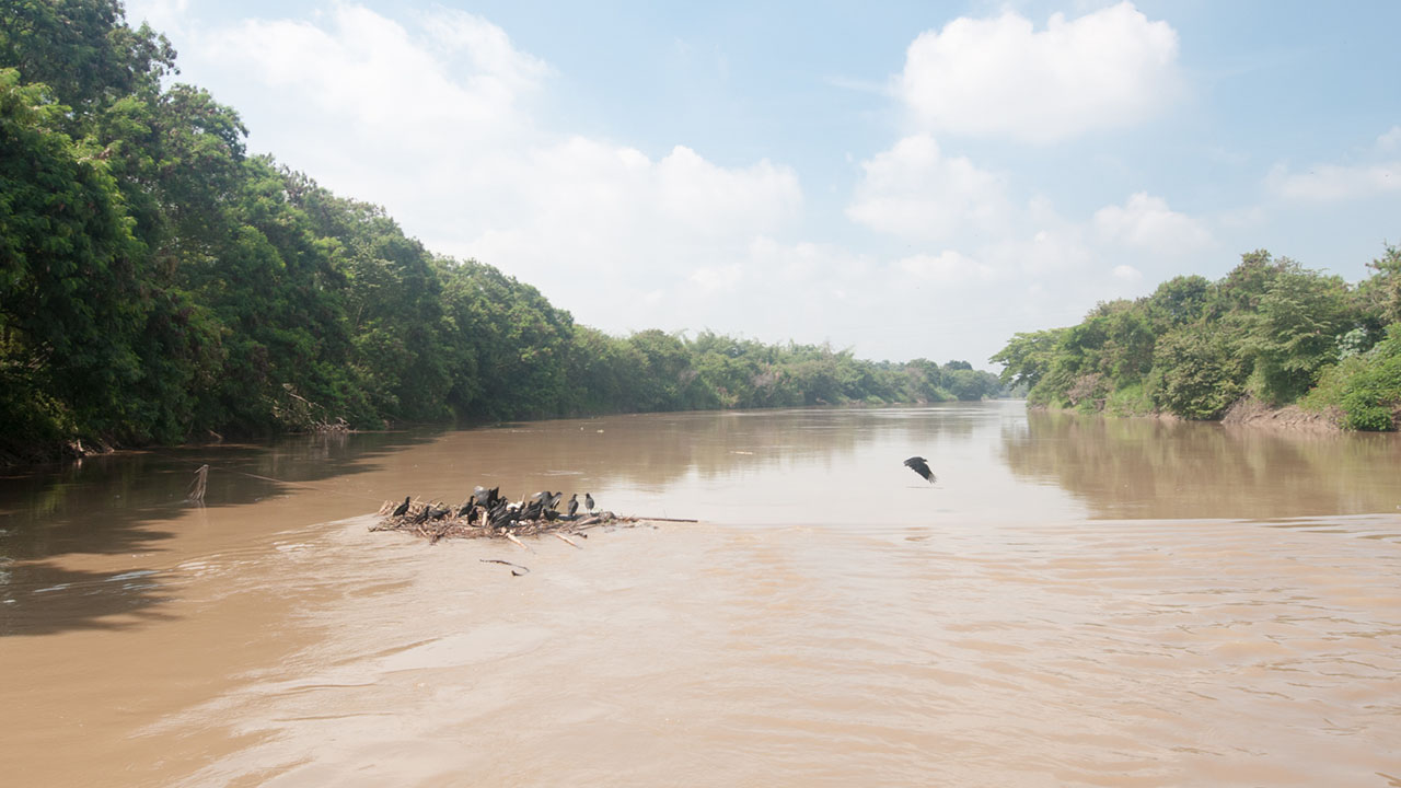 El desbordamiento del río Cauca el pasado 12 de mayo dejó un total de 600 personas afectadas