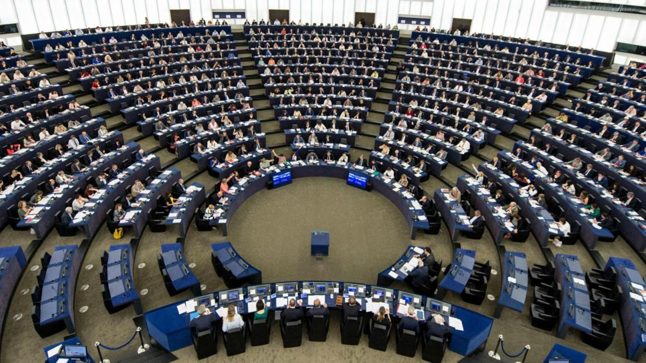 Parlamento Europeo enviará delegaciones a las fronteras de Venezuela