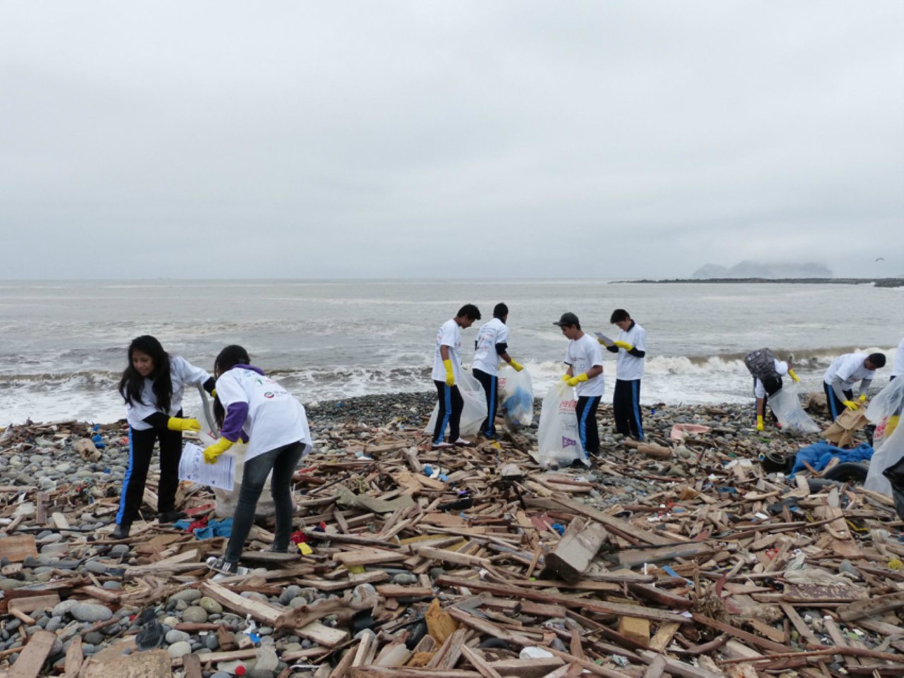 Limpiaron playa Carpayo durante el Día Mundial del Ambiente