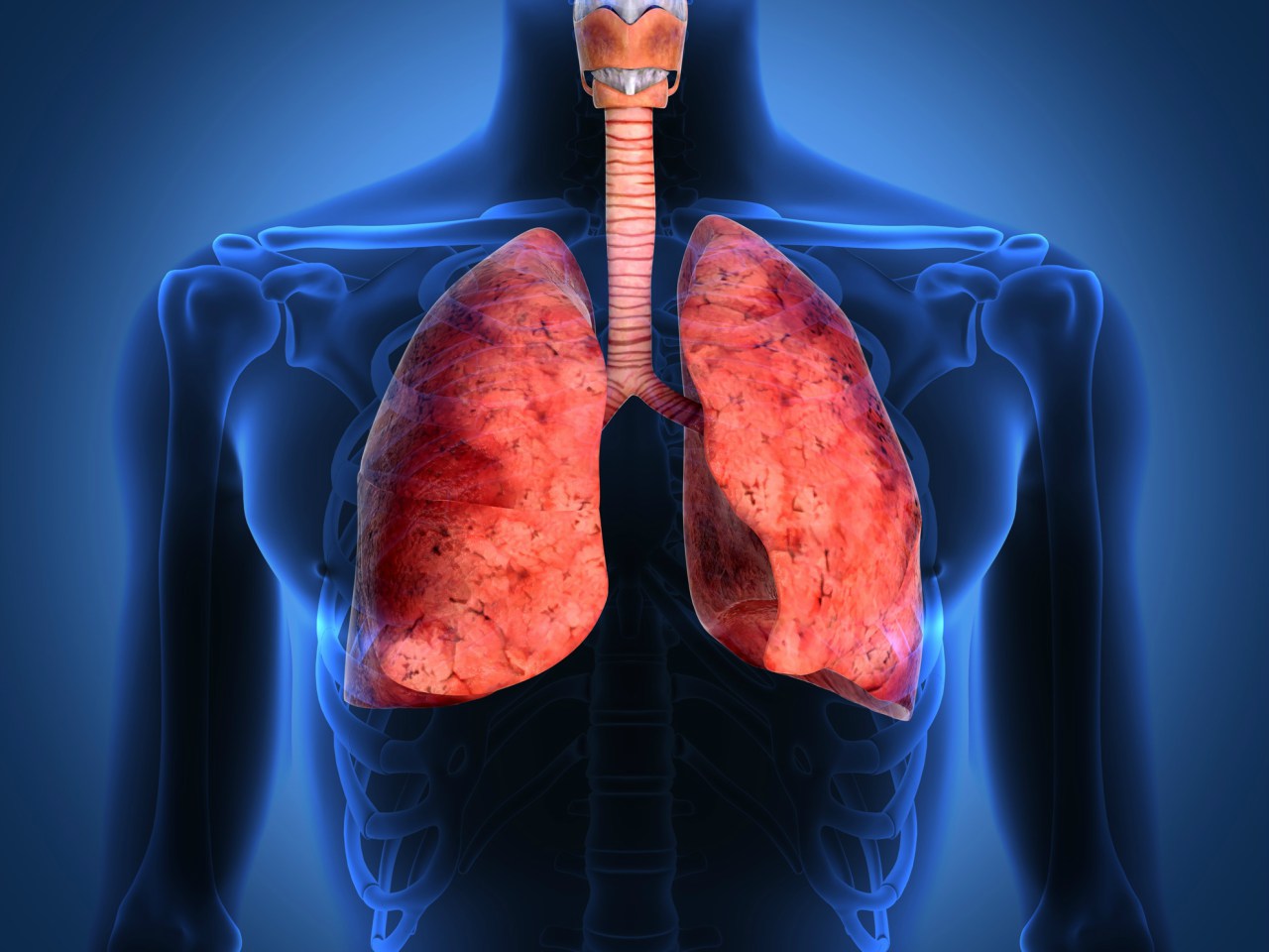 Un nuevo estudio detecta a tiempo el cáncer de pulmón