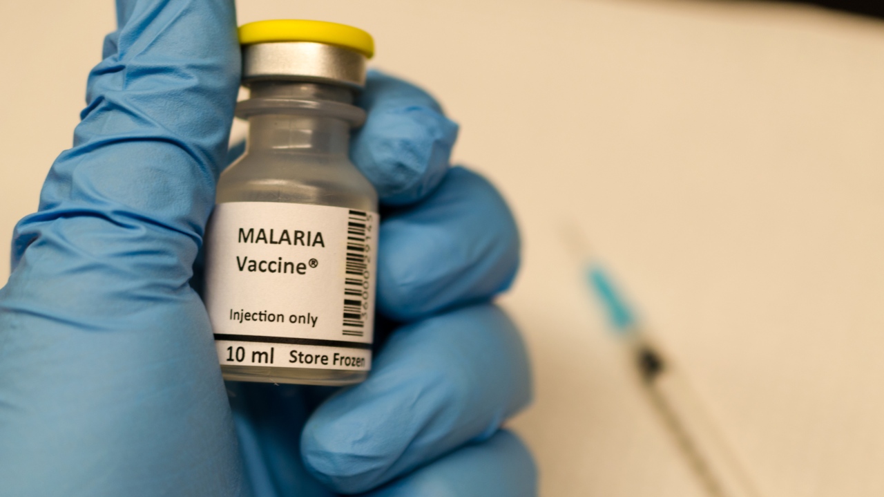 Compuestos "prometedores" podrían constituir nuevos medicamentos contra la malaria