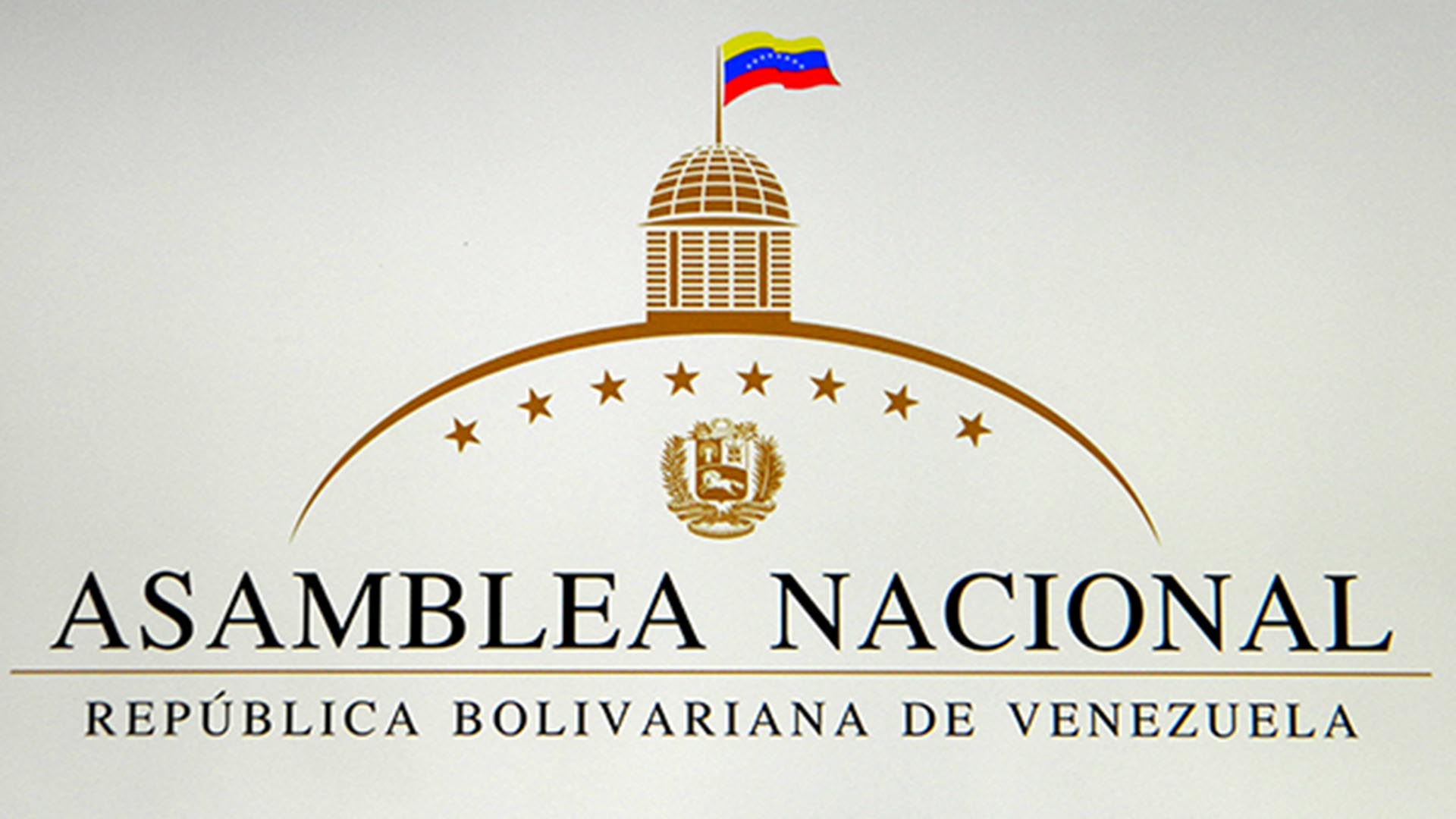 El diputado Juan Guaidó se apegará a los artículos 233, 333 y 350 de la Constitución venezolana.