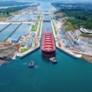 El Canal de Panamá delimitó velocidad de buques para cuidar ballenas