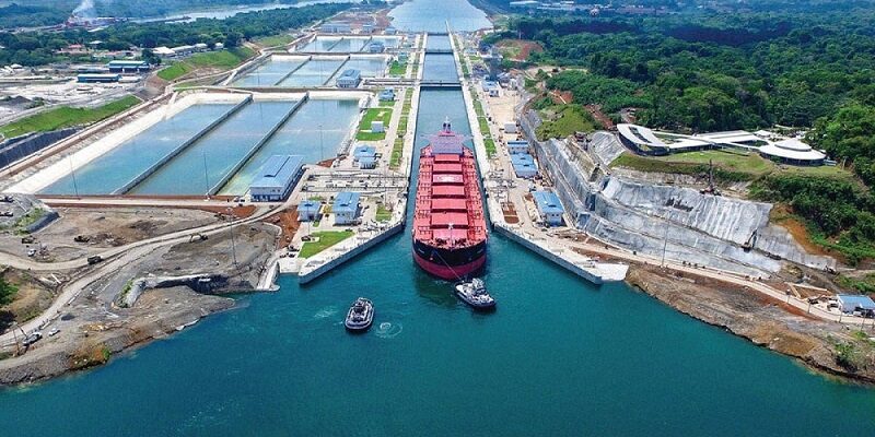 El Canal de Panamá delimitó velocidad de buques para cuidar ballenas