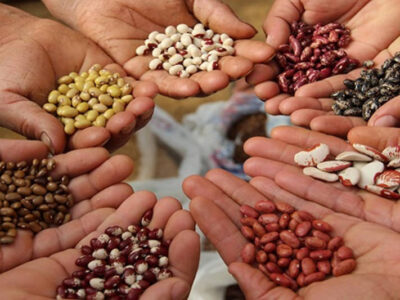 FAO donó semillas a una población venezolana