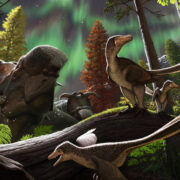 Científicos hallaron nuevo espécimen de dinosaurio