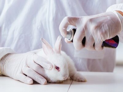Colombia prohibió las pruebas de cosméticos en animales
