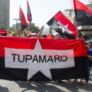TSJ suspendió a la directiva del partido Tupamaro