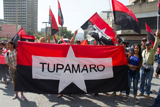 TSJ suspendió a la directiva del partido Tupamaro