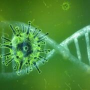 La Revista ACS Central Science, publicó que un grupo de investigadores logró descubrir un componente que podría eliminar el virus