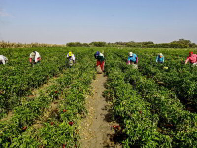 Egildo Luján: Crisis alimentaria y baja producción del campo tienen un plan y soluciones