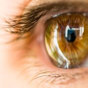 IVIC avanza en la regeneración ocular con células madre
