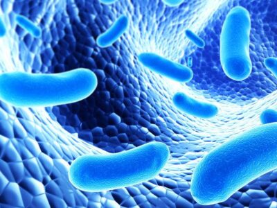 ¿Por qué es saludable el consumo de probióticos?