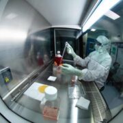 Próximamente expertos de la OMS emitirán recomendación sobre vacunas chinas