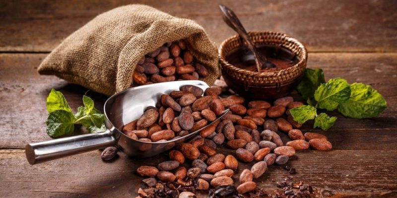Sector cacaotero venezolano se recupera pese a la pandemia