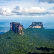 ONG advierte que 700 hectáreas del Parque Nacional Canaima fueron destruidas