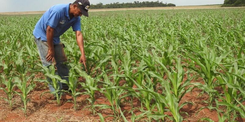 Fedeagro exigió vacunas para los trabajadores del campo