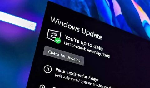 Los clientes comerciales podrán actualizar a Windows 11 en los canales de servicio