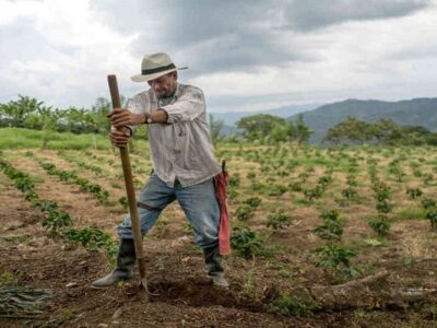 Fedenaga: Cada vez quedan menos productores agropecuarios