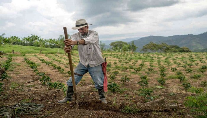 Fedenaga: Cada vez quedan menos productores agropecuarios
