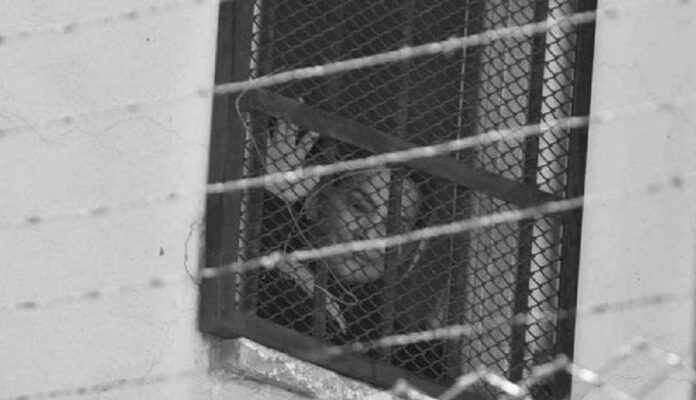 Difunden la primera imagen de Jeanine Áñez luego de intentar suicidarse en prisión