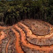 DOBLE LLAVE - COP26: Dirigentes mundiales se comprometen a frenar la deforestación