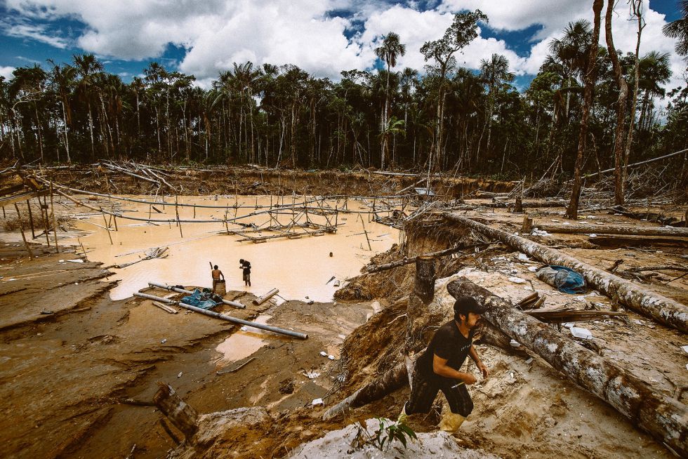 Según investigación, el oro ilegal de la Amazonia se filtra en cadenas ...