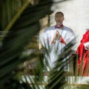 Papa Francisco y el domingo de Ramos