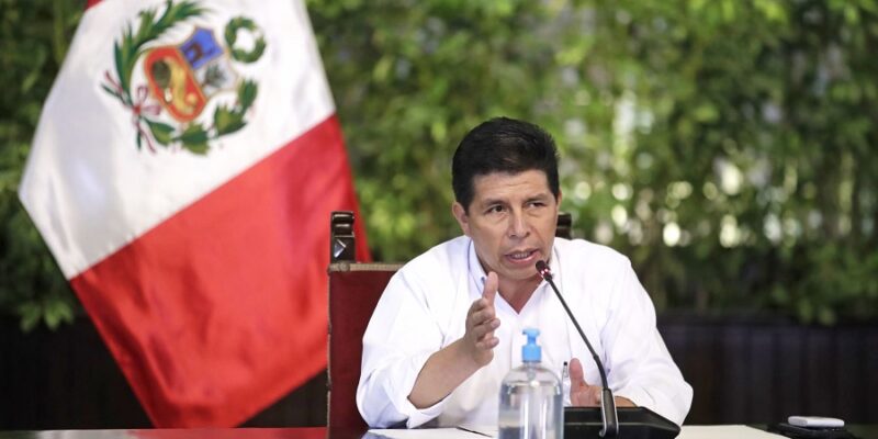 Pedro Castillo ley peruana
