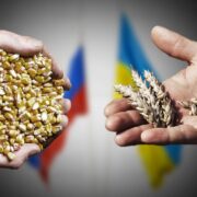 Rusia Ucrania Turquía Cereales