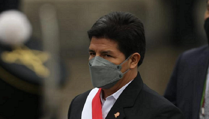 Pedro Castillo destitución