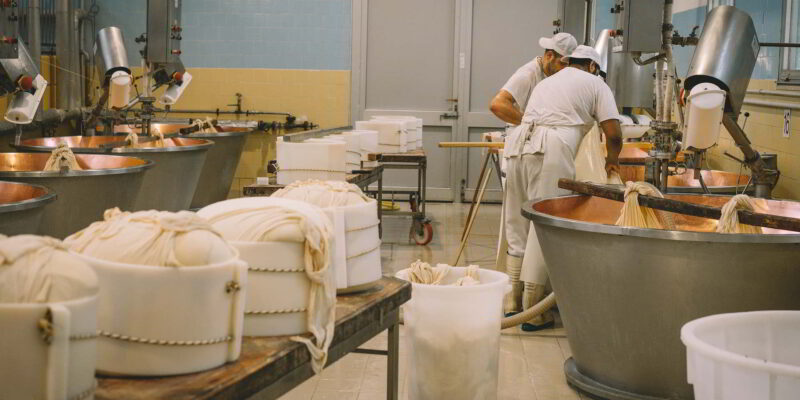 Producción de quesos: caroline-roose-SH7MH8iZrh0-unsplash