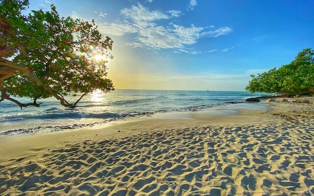 Aruba