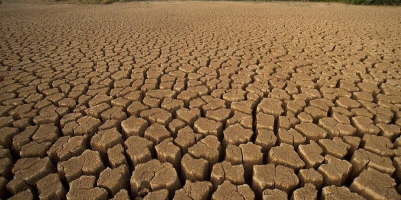 sequía - crisis climática