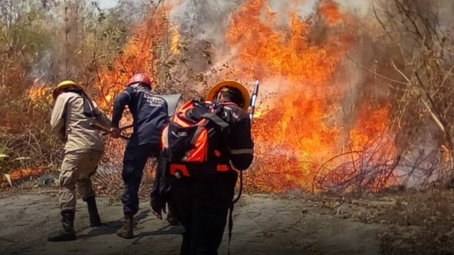 Incendios-forestales-archivo-caracas-venezuela