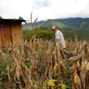 Colombia - inseguridad alimentaria