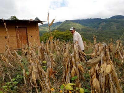 Colombia - inseguridad alimentaria