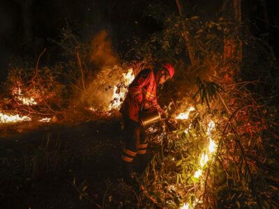 incendios