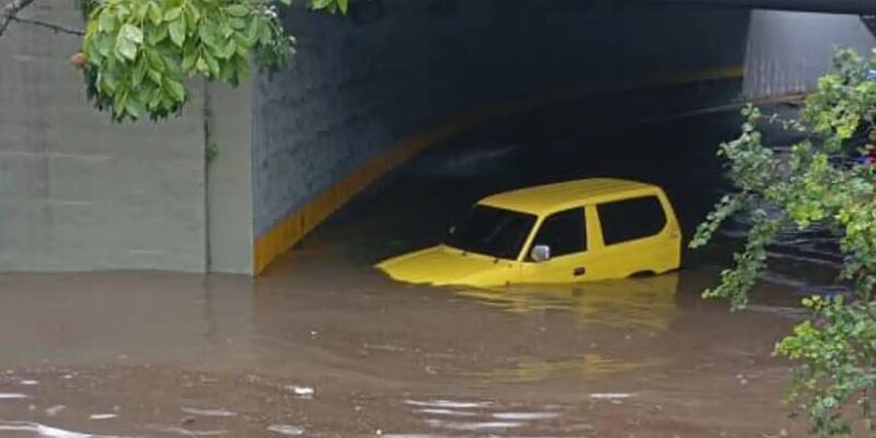Imagen referencial