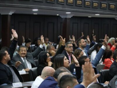 Presupuesto 2025 - AN oficialista