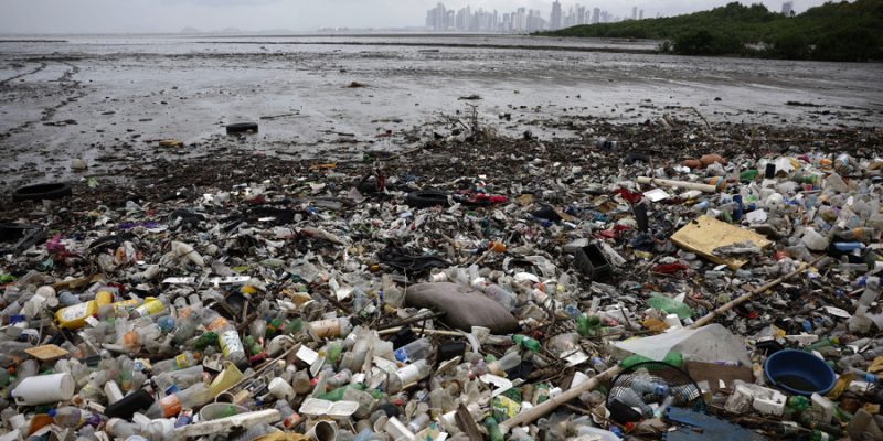 Contaminación por plásticos